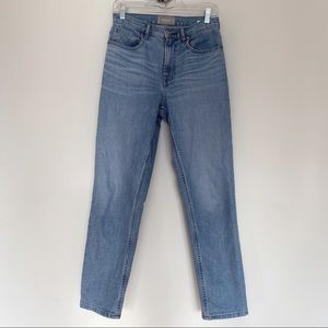 Everlane the original cheeky jean in sky blue